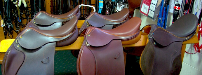 saddles1.jpg