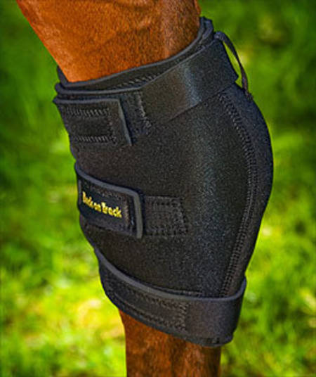 Back On Track Hock Boot Plain