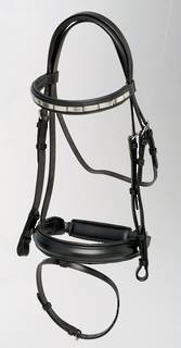 Oregon Bridle DS05