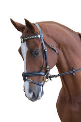 Collegiate Performance Bridle