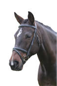 Kincade Hannoverian Bridle
