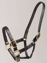 Zilco PN 25mm Halter