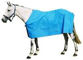 Forbes Equitex Summer  Canvas Rug Unlined