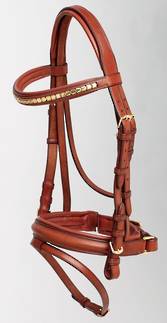 Oregon Bridle DS04