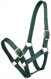 Zilco Foal Halter