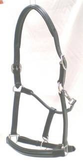 Aero Padded Halter