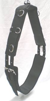 Eventor Anti Gall Lunge Roller Large
