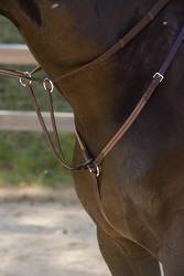 Collegiate Elastic Event Breastplate