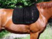 Back on Track Saddle Pad Showjumping