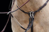 Hinterland One Way Bridge Breastplate