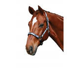 Roma Check Halter