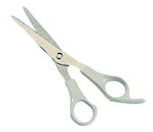 Wahl Trimming Scissors