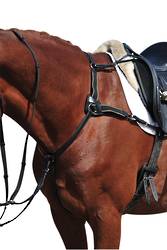 Collegiate 5 Point Breastplate