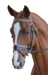 Collegiate Flat Padded Hanoverian Bridle