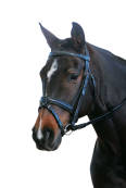 Kincade Padded Headpiece Hanovarian Bridle