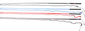 Roma Lunge Whip 160cm