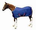 Weatherbeeta 600D Foal Rug Medium