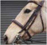 Hinterland Show Queen Bradoon Hanger And Weymouth Reins