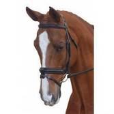 Collegiate Padded Headpiece Bridle