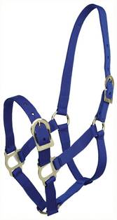 Zilco Polyproplyene Halter