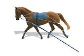 Kincade Lungeing Training System