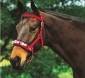 Kincade Co Ordinate Lunge Cavesson