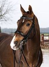 Horze Weymouth Bridle