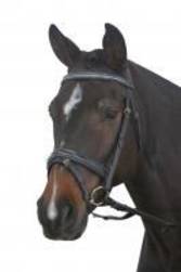 Kincade Crank Hanovarian Bridle