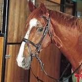 Saddlecraft Hanoverian Snaffle Bridle